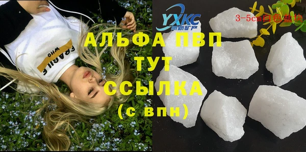 эйфоретик Арсеньев