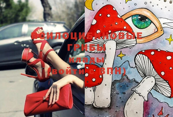 эйфоретик Арсеньев