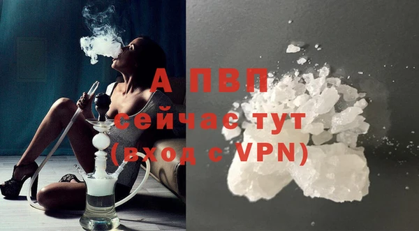 эйфоретик Арсеньев