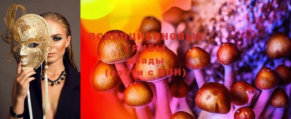 эйфоретик Арсеньев